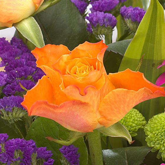 Vivacious Vase Rays Florist Flower Delivery 01252 311966